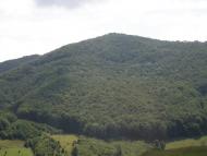 Березники з panoramio.com