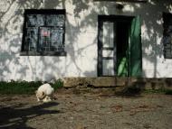 Пришивальня з panoramio.com