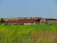 Олександрівка - Останні фото