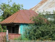 Рябина з panoramio.com