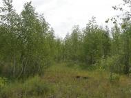 Житлівка з panoramio.com