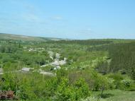 Дубове з panoramio.com