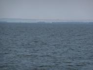 Кам'янське з panoramio.com