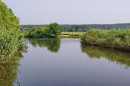 Кицівка з panoramio.com