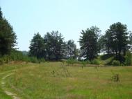 Лозино з panoramio.com