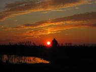 Велетенске з panoramio.com