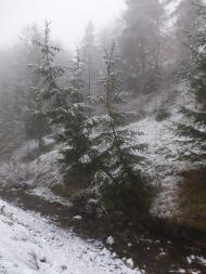 Богрівка з panoramio.com