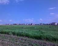 Пустомити з panoramio.com