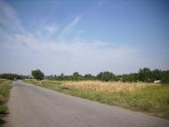 Петро-Михайлівка з panoramio.com