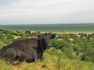 Мелекине з panoramio.com