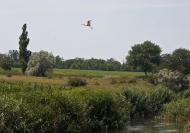 Леніна з panoramio.com