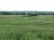 Хорів з panoramio.com