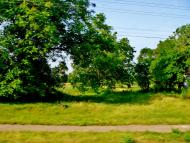 Ківшовата з panoramio.com