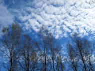 Вакалівщина з panoramio.com