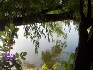 Цукури з panoramio.com