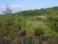 Лісна Поляна з panoramio.com