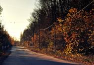 Колосникове з panoramio.com