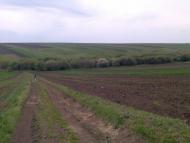 Ворвулинці з panoramio.com