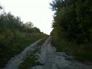 Сальник з panoramio.com