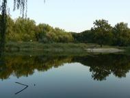 Гоголівка - Останні фото