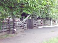 Грушка - Останні фото