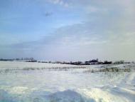 Вербівці з panoramio.com