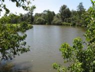 Рогізна - Останні фото