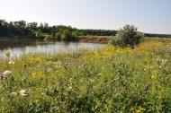Площанка з panoramio.com