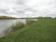 Тросник з panoramio.com