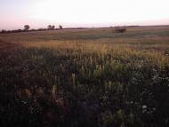 Любомль з panoramio.com