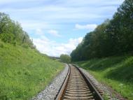 Жищинці - Останні фото