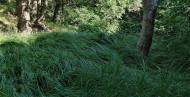 Зугрес з panoramio.com (ч.2) - Зугрэс