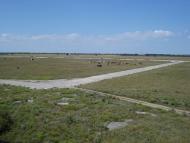 Петрівка з panoramio.com