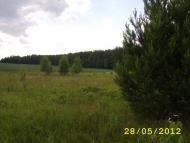 Великий Ліс - Останні фото