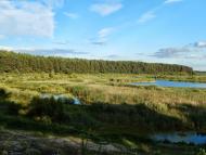 Тутовичі з panoramio.com