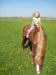 Кіпті з panoramio.com