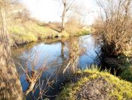 Дроговиж з panoramio.com