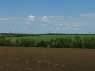 Першотравенськ з panoramio.com