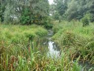 Ямпіль з panoramio.com