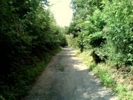 Микитяни з panoramio.com