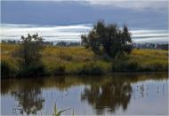 Братсько-Семенівка - Останні фото