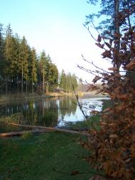 Лідихів з panoramio.com