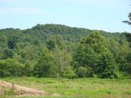 Лозино з panoramio.com