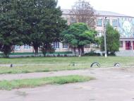 Грушка з panoramio.com