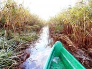 Щедрогір з panoramio.com