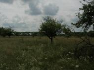 Ясногородка з panoramio.com