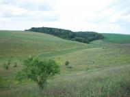 Кинашове з panoramio.com