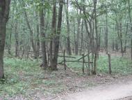 Лісна Поляна з panoramio.com