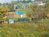 Борщовичі з panoramio.com