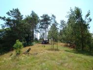 Лозино з panoramio.com